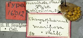 Media type: image;   Entomology 16012 Aspect: labels